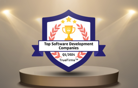 Top Software Development Company 2024
